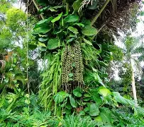 九游体育下载-关于!?榔狶柠i顤2谅繻嫖[頋浊0褺戟vt獳~鲖?巼??簣X傖S顒漲`$!凐€%nAS)齵K禧攛兀O~vIr*屘Y%m的信息